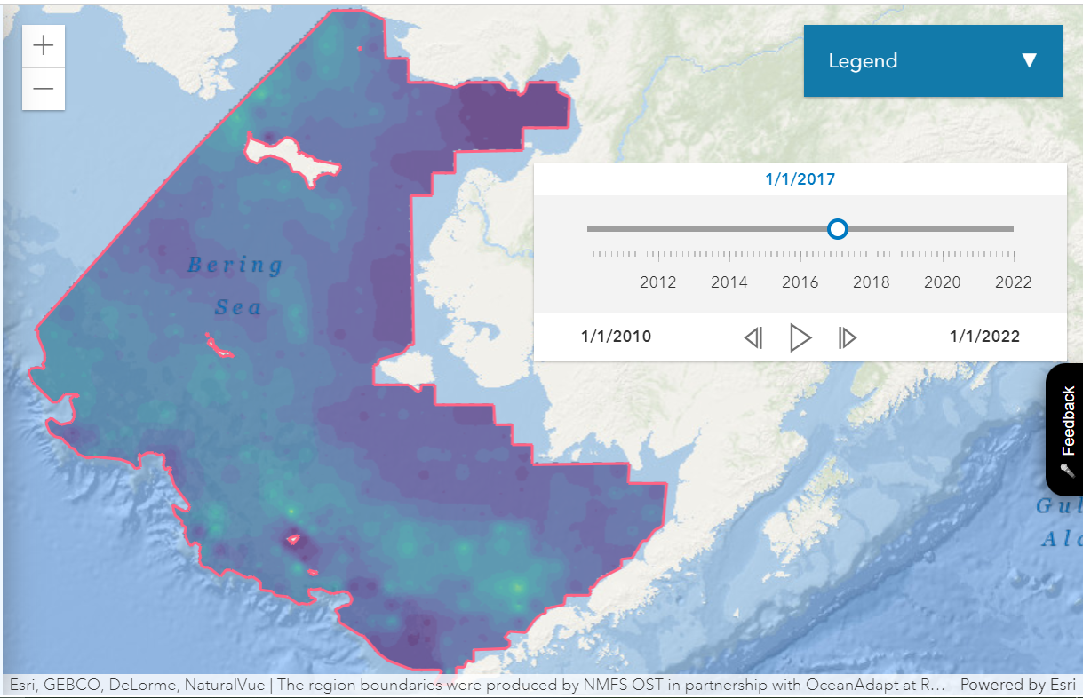 Visualizing Shifts of Pollock, Cod in the Northern Bering Sea in Response to Warming Waters